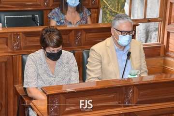 Pleno ordinario de julio de 2022/Francisco Javier Santana.